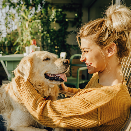 Verreisen mit Hund: Wie sieht der Versicherungsschutz in der Tierhalterhaftpflicht-Versicherung aus?